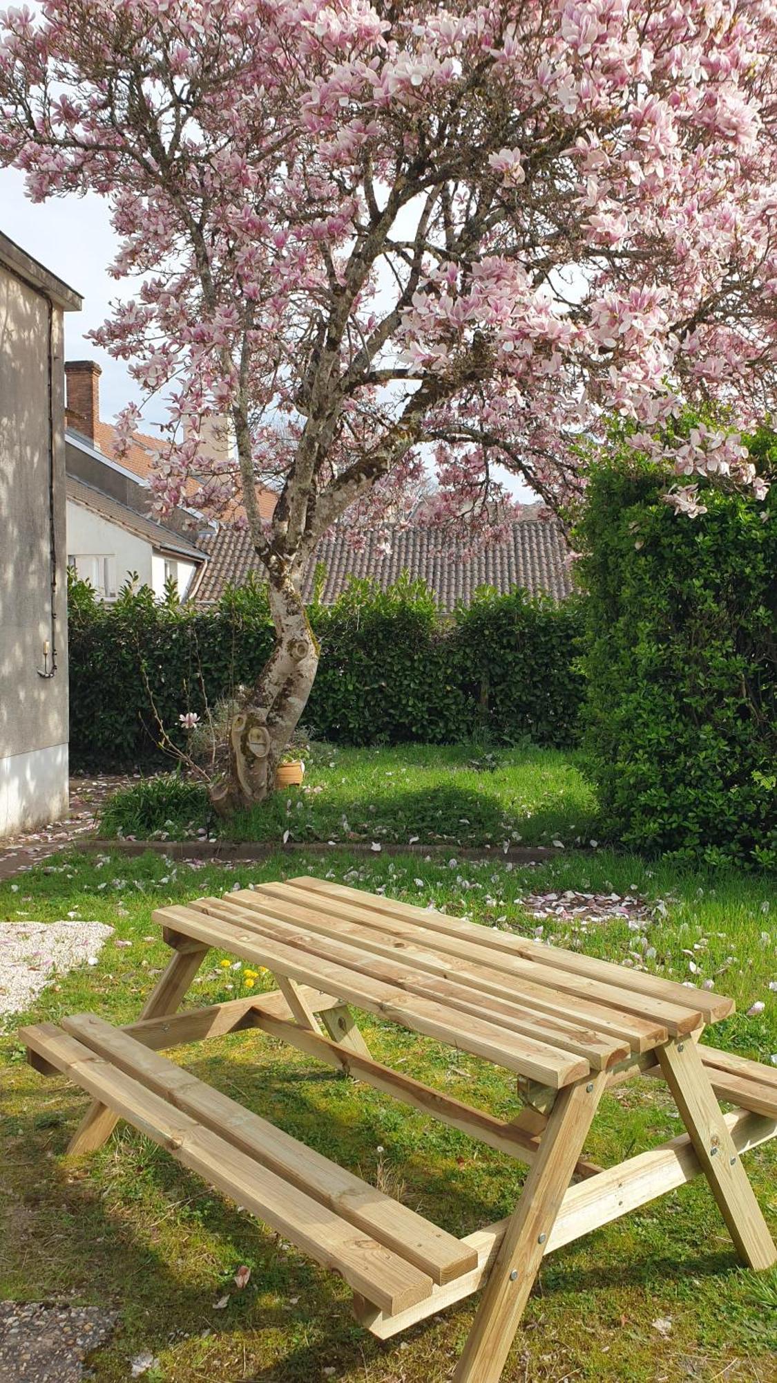 La Maison Barent - Proche Des Grottes De Rouffignac 外观 照片